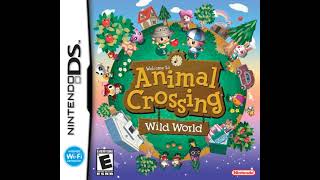 Fireworks Festival - Animal Crossing: Wild World