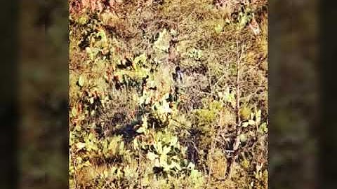 القارئ حذيفه محمد فاروق