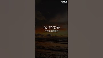 سورة الماعون | عبدالرحمن مسعد quran# #عبدالرحمن_مسعد# | Abdur Rahman Mossad