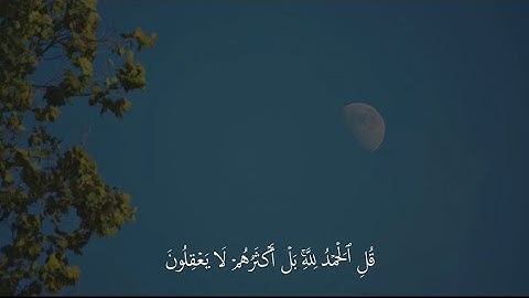 ‎سورة العنكبوت الآية 63-64 | القارئ عبدالرحمن مسعد