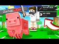 MİNECRAFT'ta AVCI OLDUM! - Minecraft