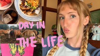 DAY IN THE LIFE VLOG