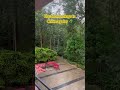 Peaceful Hostel Morning in Chikmagalur 🌄
