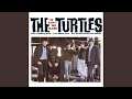 The Turtles - It Ain't Me Babe