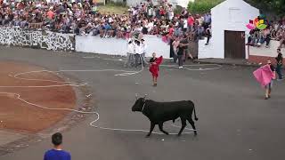 Tourada à corda in São Sebastião, 25 July 2023