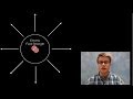 Electric Field Strength and Charge Interaction Simulation