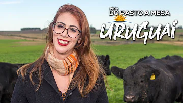Como funciona a criação de gado?
