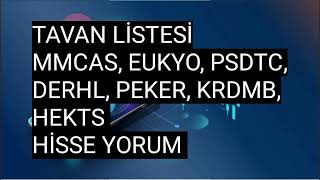 Tavan Listesi, Mmcas, Eukyo, Psdtc, Derhl, Peker, Krdmb, Hektas Hisse Yorum