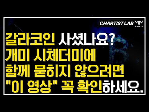   갈라코인 피보나치로 확인한 저점은 여기입니다