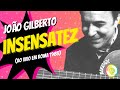 Joo gilberto  insensatez ao vivo em roma 1983 raridade