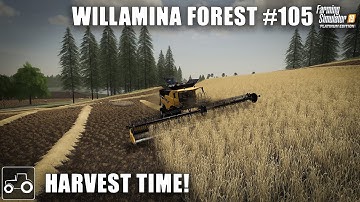 Starting The Final Harvest - Willamina Forest #105 Farming Simulator 19 Timelapse