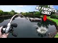 Bass fishing JUICY CITY PONDS with my FAVORITE FALL LURE!!! (EPIC)