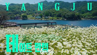 아직도 몰라?  데이트 필수 코스! #핫플