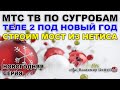 МТС ТВ по сугробам, Теле2 под новый год, мост из NETIS 5230 | Владимир Цифровой | Новогодняя серия