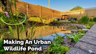 Making An Urban Wildlife Pond  Timelapse 4K