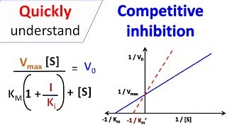 Competitive inhibition
