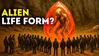 Sealed for 80 MILLION YEARS — What Was Never Meant to Be Found