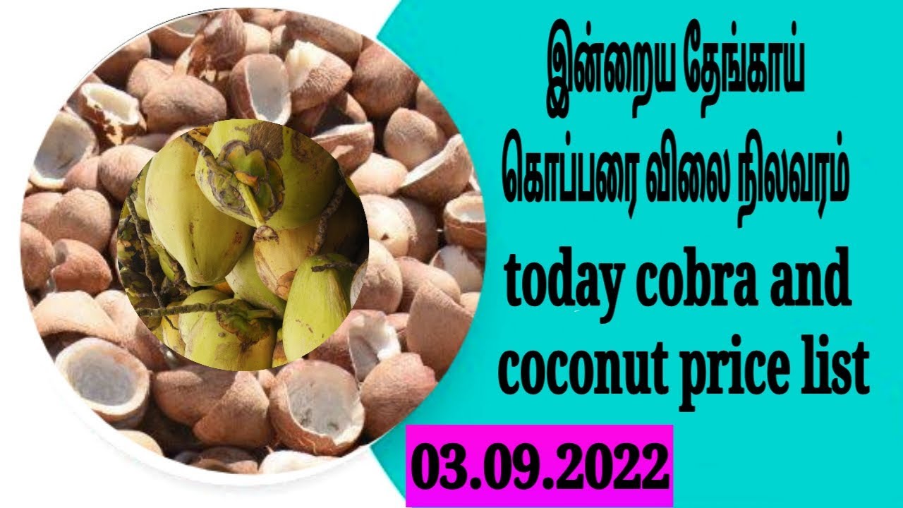today-coconut-and-copra-price-youtube
