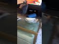 Frankie's Midnight Zoomies Are Out of Control 🌙💨 | Yorkie Life