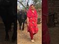 ❤️❤️ #ganvkilifestyle #viralvideos #viral #villagerlifestyle #shortvideos #vlog #viralvideos