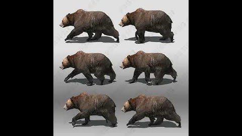 Grizzly Bear Animated 3D model from CGTrader.com