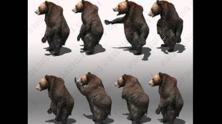 Grizzly Bear Animated 3D model from CGTrader.com