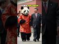panda adalah simbol perdamaian🐼 #panda #diplomacy #tiongkok #faktaunik #faktamenarik #short #feeding
