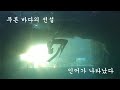 전생에 인어공주?! 프리다이빙 (Freediving)