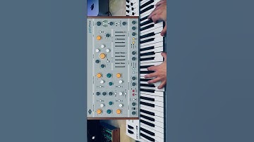 Universal Audio Polymax Synth Demo Part 3 🎹🎶 #synth #demo #shorts