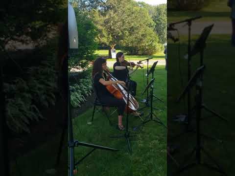 "Blackbird ", rhe Beatles. violin and cello duo