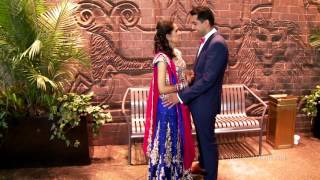 Indian Wedding video screenshot 4