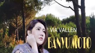 Via Vallen   Banyu Moto OFFICIAL HD
