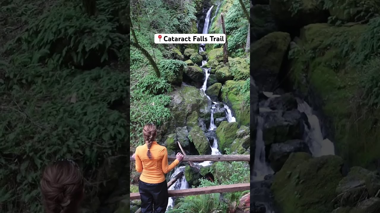 Cataract Falls Trail in Mt Tamalpais, CA. Magical Rainforest Vibes 🌿