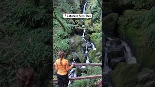 Cataract Falls Trail in Mt Tamalpais, CA. Magical Rainforest Vibes 🌿