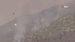 Ciğerlerimiz Yanıyor İzmirde Alevlerle Mücadele Sürüyor