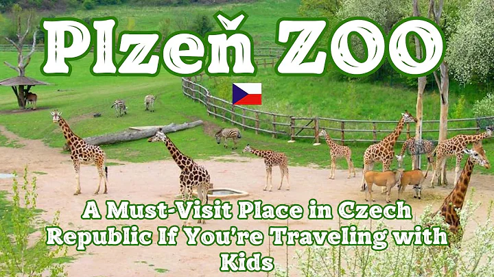 Plzen ZOO - Czech Republic. Must-Visit Place in Plzen. Travel Guide with Chillout & Relaxing Music.