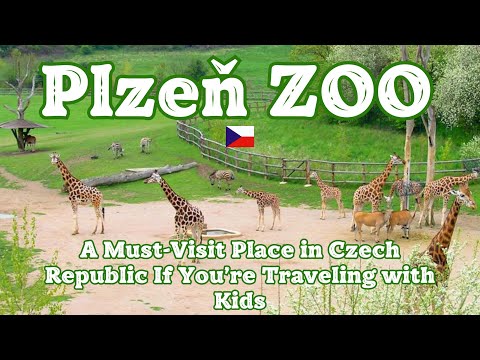 Plzen ZOO - Czech Republic. A Must-Visit Place in Czech Republic If You’re Traveling with Kids.