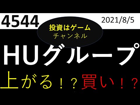 【日本株　チャート分析】HUグループホールディングス（4544）
