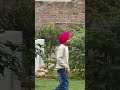 Chasing dreams.#shortsfeed #nature #youtube #trending #shots