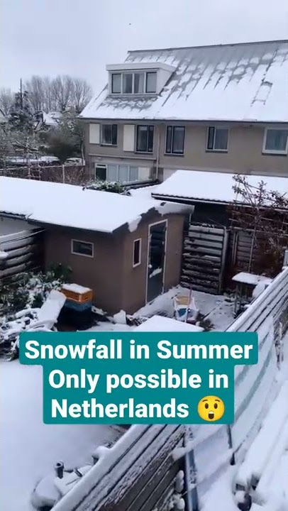 snowfall in summer, only possible in Netherlands 😍#snow #holland #northholland #netherlands #shorts