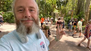 🔴 Animal Kingdom (LIVESTREAM)