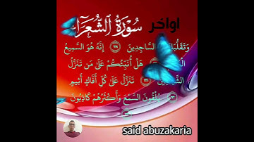 تلاوة جميلة و رائعة من سورة الشعراء 🌺 #اكسبلور #آيات #قران_كريم #quran