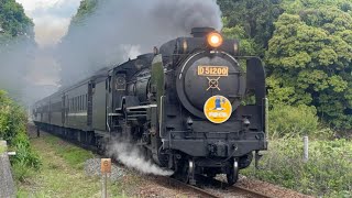 SLやまぐち号　新山口行　9522レ　D51 200   2025.5.17  大歳→仁保津