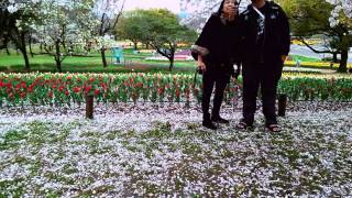 2015_0405_萬博紀念公園之鬱金香花田(FB)