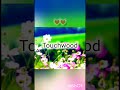 #touchwood||touchwood💃🏼