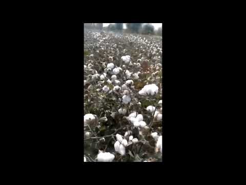 Custom hotel bedding set double size factory production process