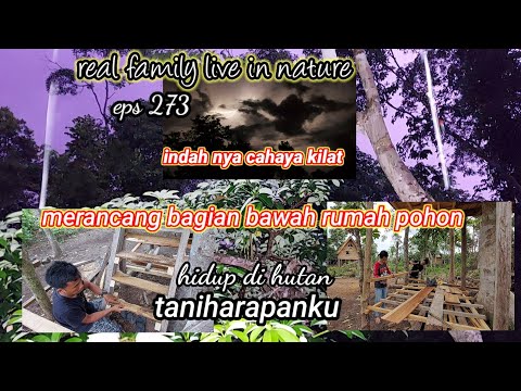 Video: Apa Keindahan Kehidupan Keluarga