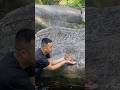 The baby monkey nearly fell into the water, but luckily its father arrived just in time to save it.