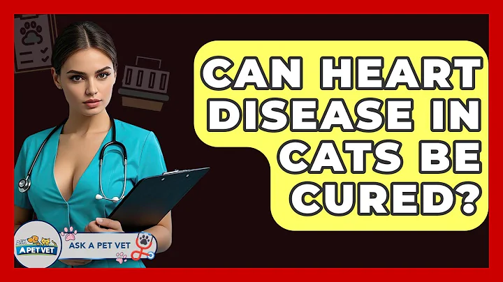 Can Heart Disease In Cats Be Cured? - Ask A Pet Vet