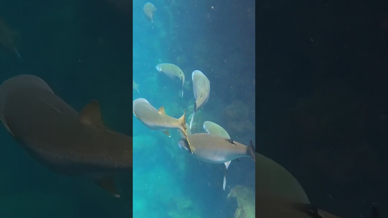 Las Grietas - Puerto Ayora - Santa Cruz - Galápagos Islands - Ecuador - dax 